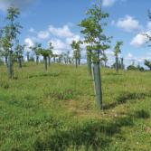 Gareth Case Study Title                                                                             