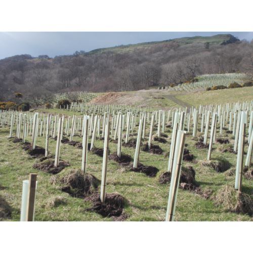Green-tech supply tree shelters for 279ha woodland creation in the Kilpatrick Hills